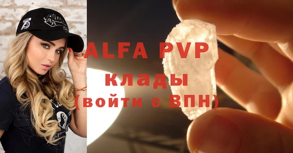 индика Куйбышев