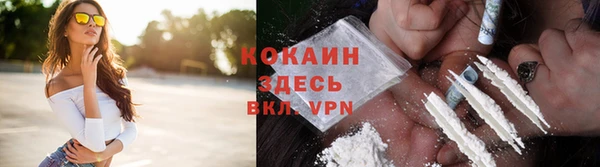 индика Куйбышев