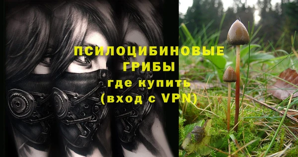 героин Кукмор