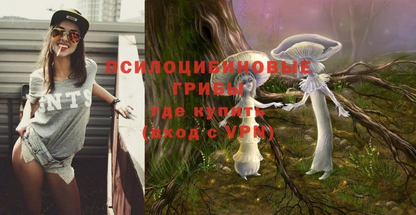 индика Куйбышев
