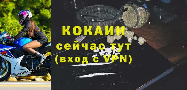 индика Куйбышев